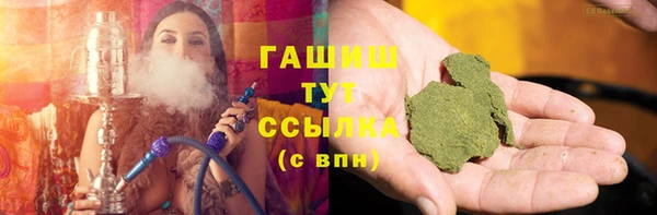 гидра Алексеевка