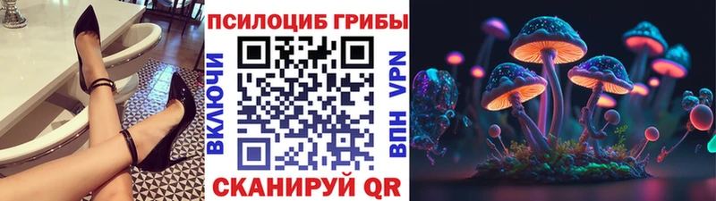 MEGA ссылка  цена наркотик  Вологда  Галлюциногенные грибы мицелий 